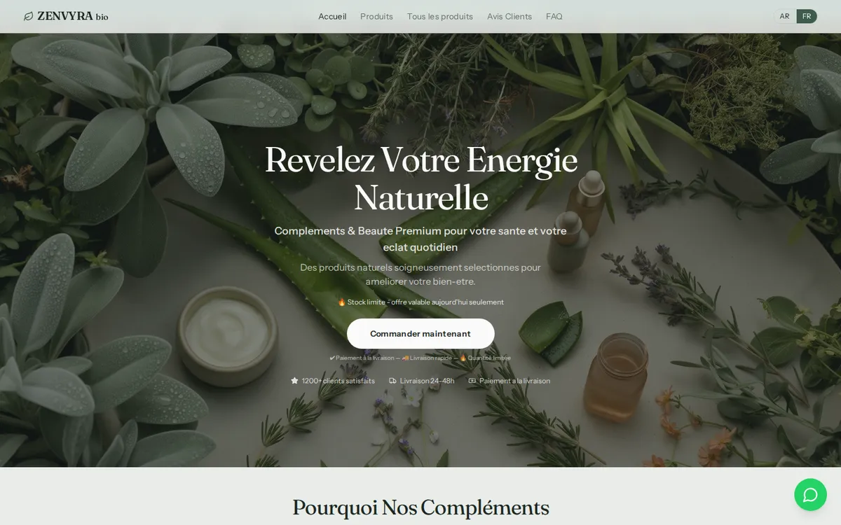 Aperçu du projet Zenvyra